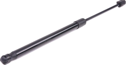 RIDEX 219G0219 Baklukedemper
