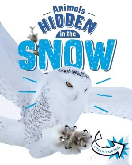 Animals Hidden in the Snow