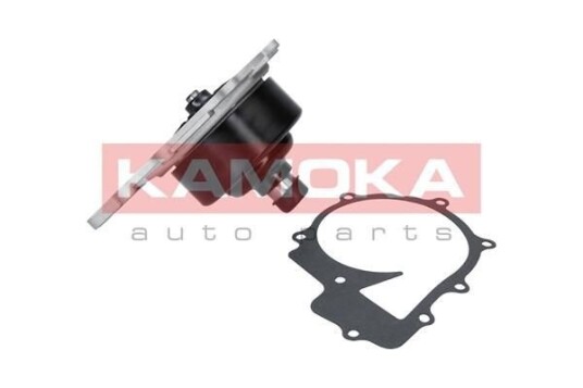 Vannpumpe KAMOKA T0200