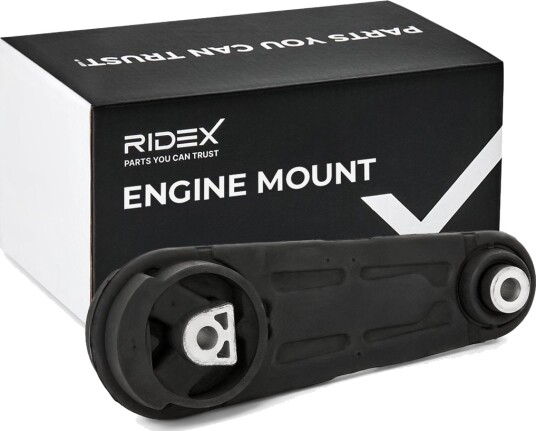 RIDEX 247E0622 Motorfeste
