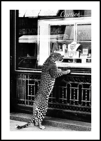 Panther in the Jewelry Shop Plakat Plakat / 100x150cm Panther in the Jewelry Shop Plakat Plakat / 100x150cm