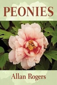Rogers Allan Peonies Rogers Allan Peonies