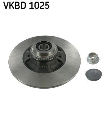 Bremseskive SKF VKBD 1025