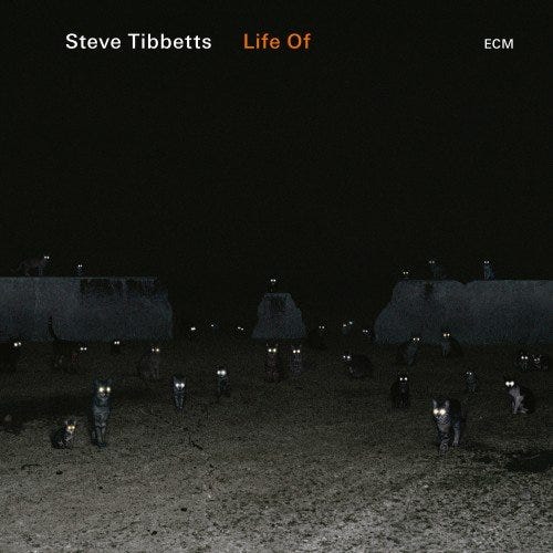 Steve Tibbetts  Life Of  CD