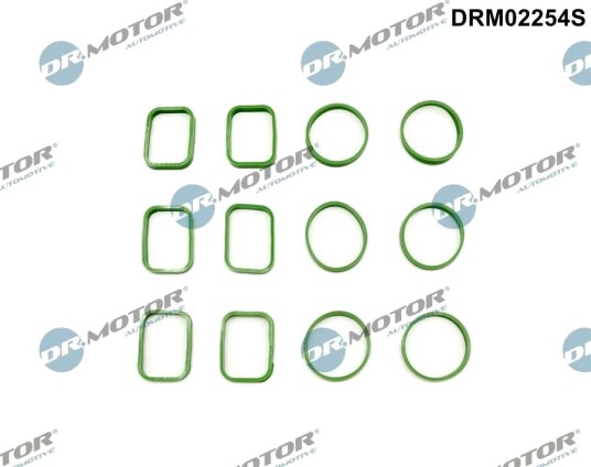 Pakkningssett innsugningsmanifold Dr.Motor Automotive DRM02254S