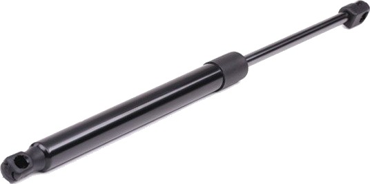 RIDEX 219G0212 Baklukedemper