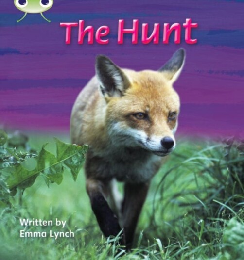 Bug Club Phonics Phase 3 Unit 7: The Hunt