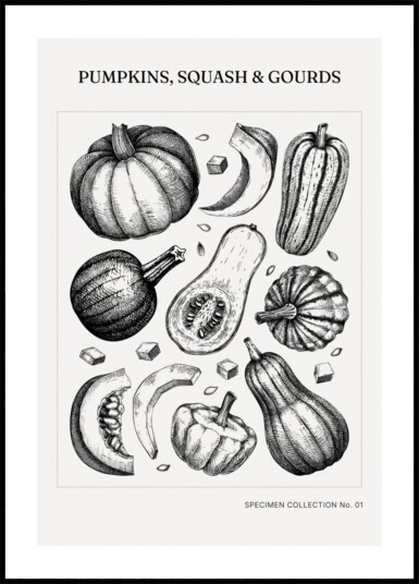Vintage Botanical Pumpkins Plakat / 30x40