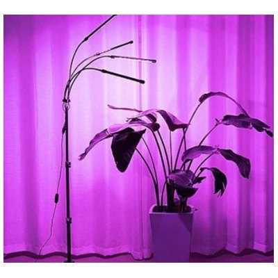 LEDlife vekstlys med stativ - Svart, 4 lamper, justerbar høyde, fleksible armer LEDlife vekstlys med stativ - Svart, 4 lamper, justerbar høyde, fleksible armer