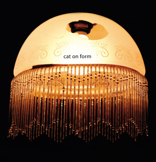 Cat On Form Set Them On Fire With Their Own Matches CD