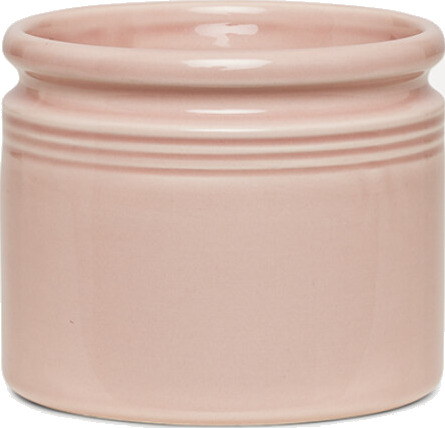 UND Legacy Krukke Soft-Rose H10