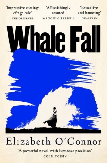 Whale Fall Whale Fall