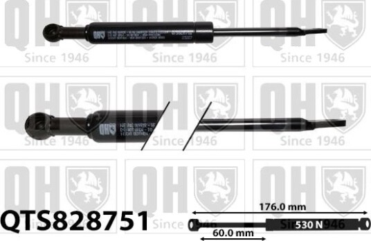 Gassfjær, bakrute QUINTON HAZELL QTS828751
