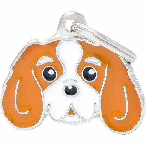 Myfamily Cavalier King Charles Idtag Orange