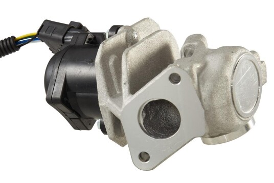 EGR Ventil HELLA 6NU 010 171-781