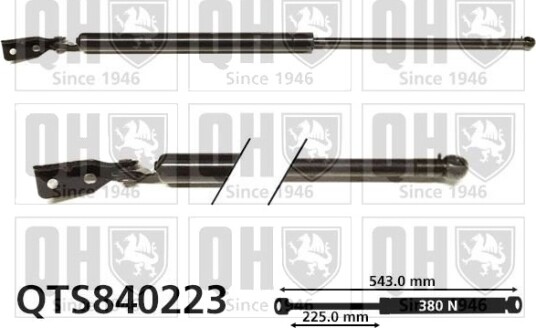 QUINTON HAZELL QTS840223 Baklukedemper