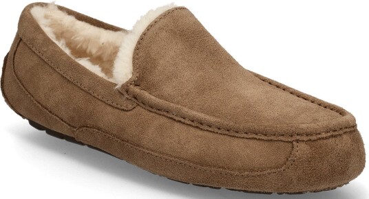 UGG M Ascot LIGHT BRONZE 44