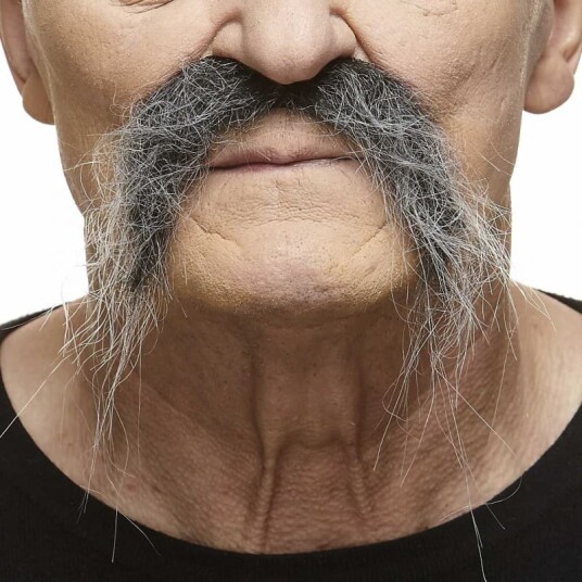 Mustaches Grå Bushy Western Bart