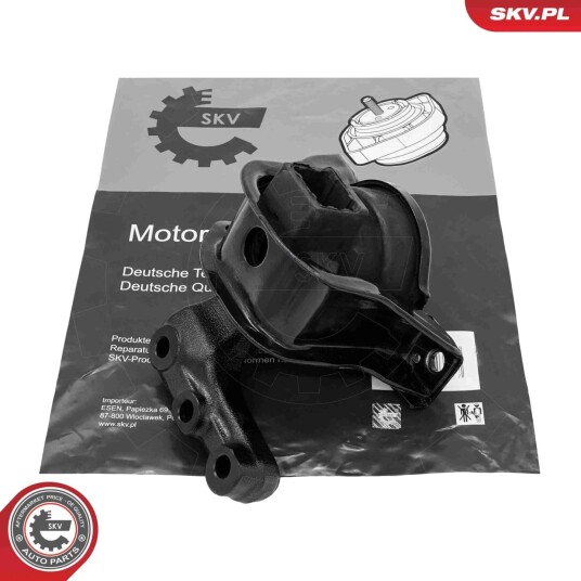 Motorfeste ESEN SKV 75SKV141