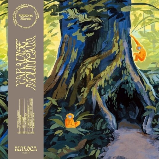 Paradise Mountain Vinyl