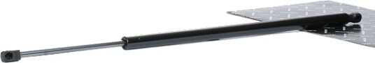 RIDEX 219G0953 Baklukedemper