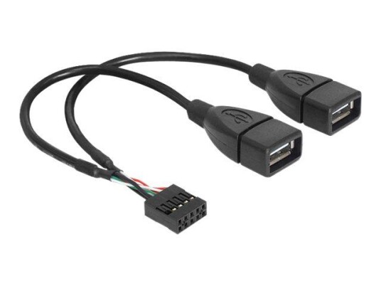 Delock intern-til-ekstern USB-kabel - USB til 9-pins USB-header - 20 cm