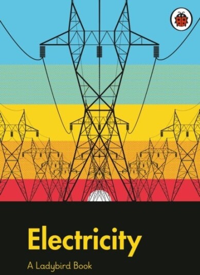 A Ladybird Book: Electricity Av Elizabeth Jenner