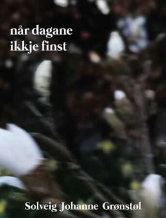Når Dagane Ikkje Finst Av Solveig Johanna Grønstøl