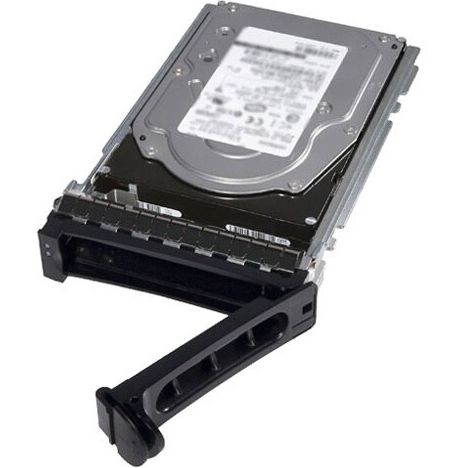 DELL 480GB 12Gb 2.5" SFF RI SAS SSD Customer Kit -