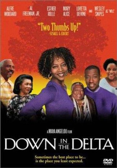 Down In The Delta DVD