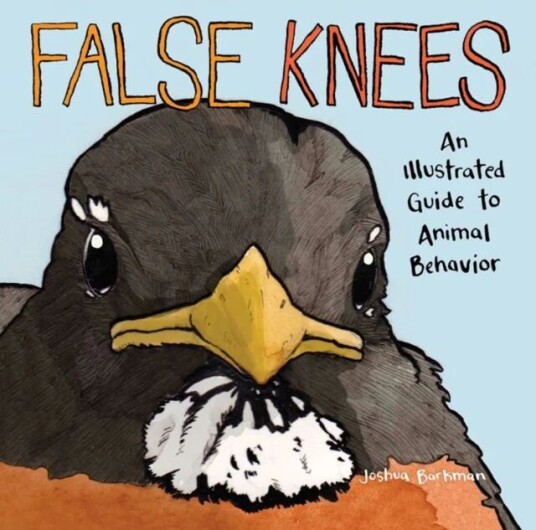 False Knees Av Joshua Barkman