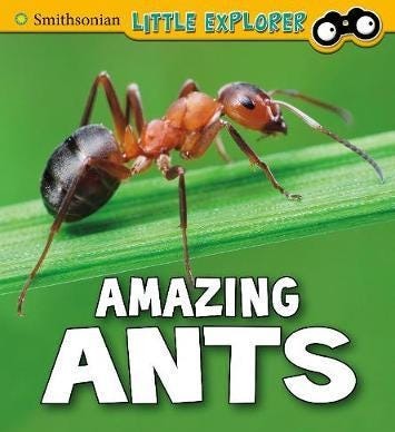 Amazing Ants Av Megan Cooley Peterson
