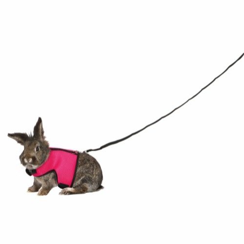 Kattinorge Marsvin-kanin-Smådyr-Kattesele soft med line 25-40cm