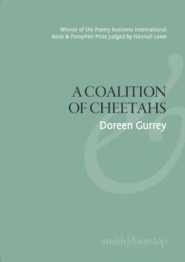 A Coalition of Cheetahs A Coalition of Cheetahs