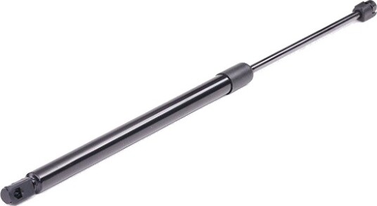 RIDEX 219G0544 Baklukedemper