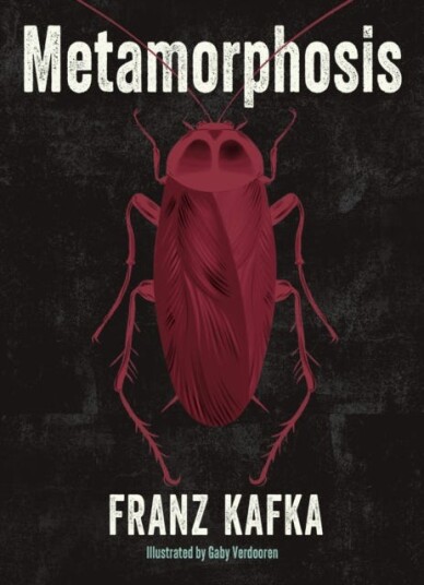Metamorphosis  Illustrated by Gaby Verdooren
