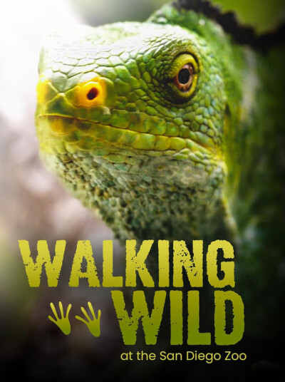 Walking Wild DVD