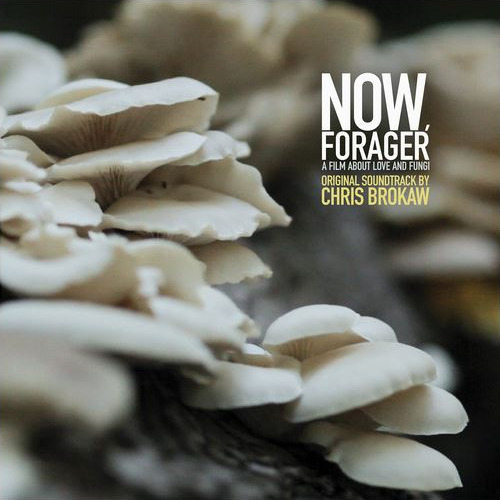 Now, Forager Original Motion Picture Soundtrack