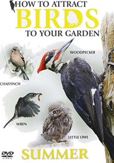Diverse Artister How To Attract Birds To Your Garden Summ CD