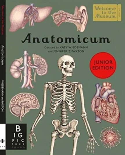 Anatomicum Junior av Jennifer Z Paxton