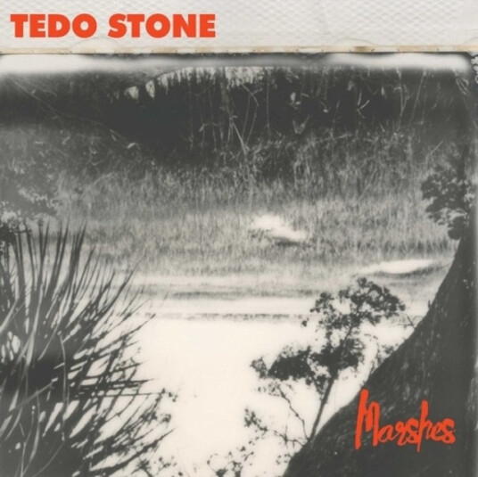 Tedo Stone  Marshes  CD