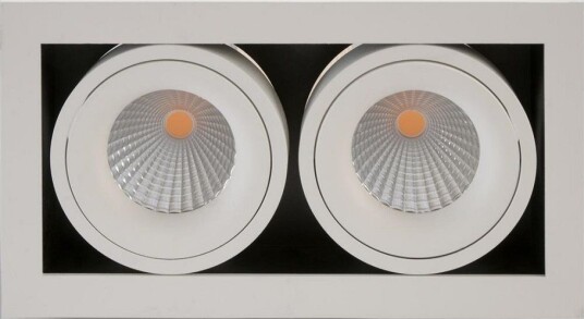 Dakota Duo Downlight 30° 2x6W LED Colour