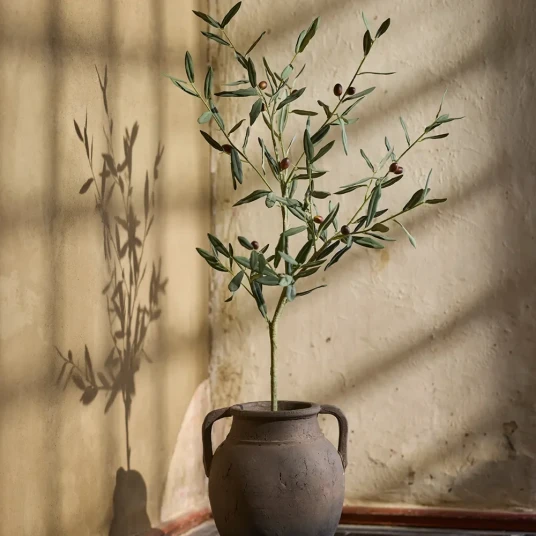 Mr Plant Oliventre 120 cm Mr Plant Oliventre 120 cm