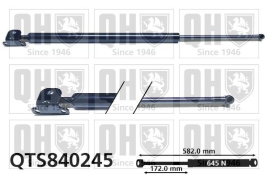 Baklukedemper QUINTON HAZELL QTS840245