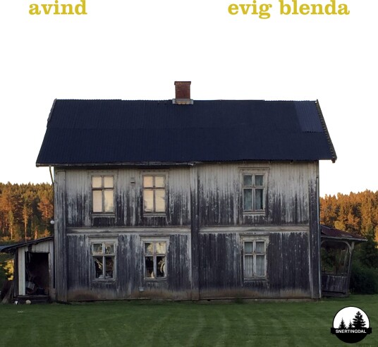 Avind Evig Blenda Vinyl