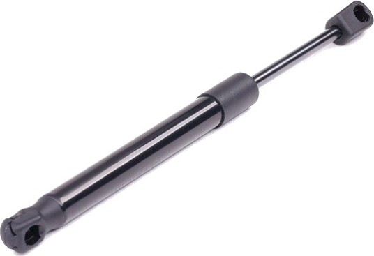 RIDEX 219G0224 Baklukedemper