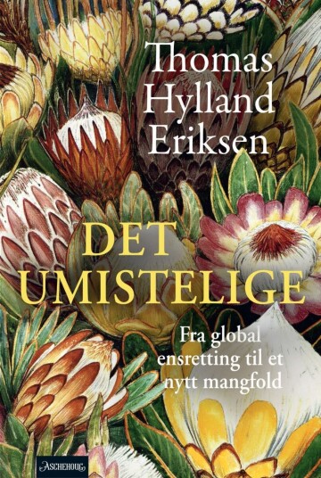 Det umistelige Det umistelige