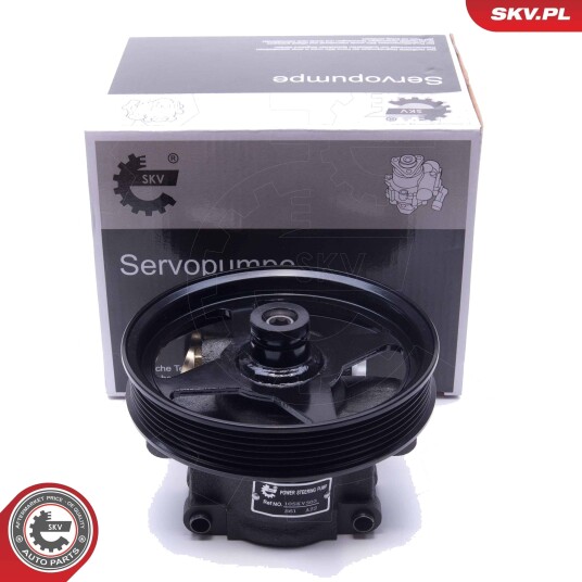 Servopumpe ESEN SKV 10SKV303
