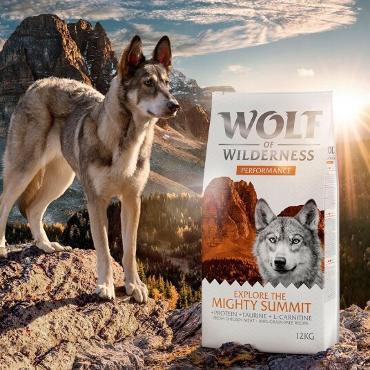 Wolf Of Wilderness Tørrfôr Explore The Mighty Summit Performance Kornfri Ny Oppskrift 400 G