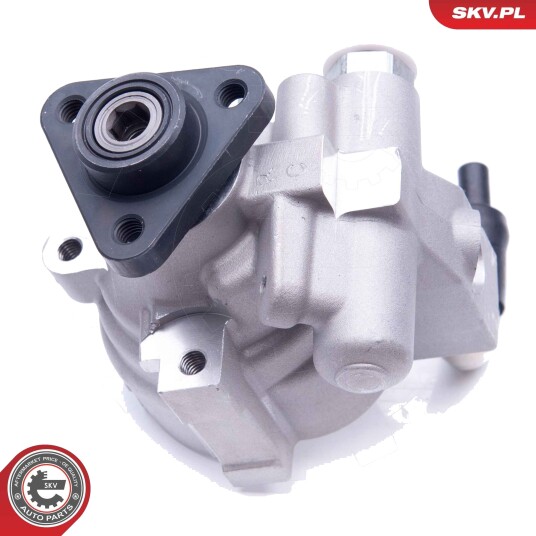 Servopumpe ESEN SKV 10SKV278